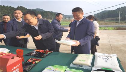 市委常委、政法委書記劉波濤帶隊調(diào)研指導(dǎo)定點幫扶村鄉(xiāng)村振興工作